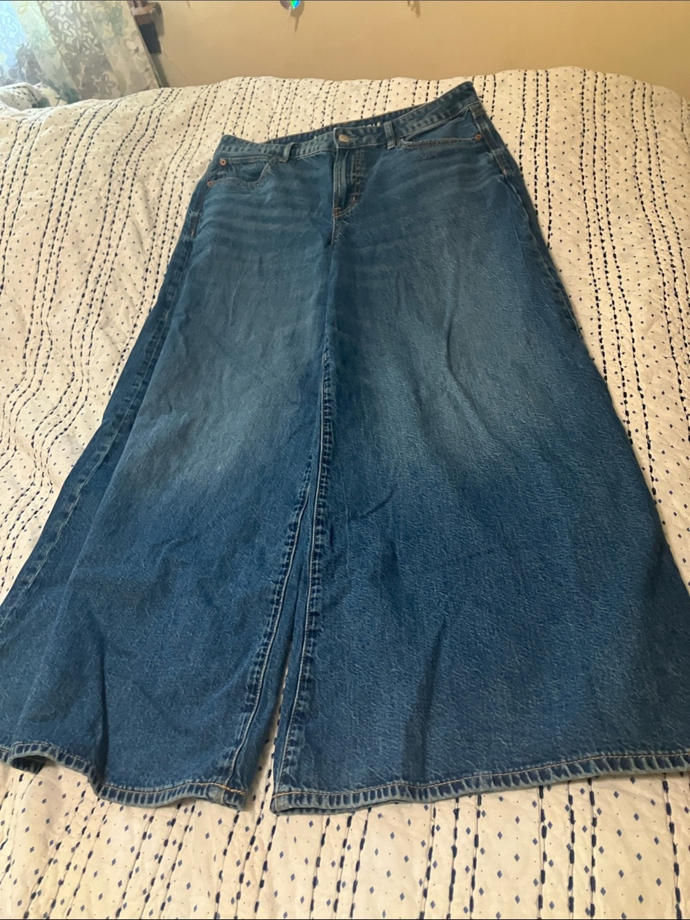American Eagle Outfitters Blue Denim A-Line Fit
